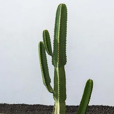 Arizona - 3-bedroom House By The Sea *